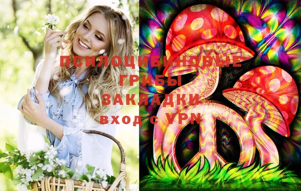 прущий лед Аркадак