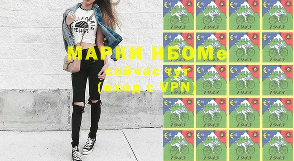 индика Армянск