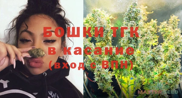 индика Армянск