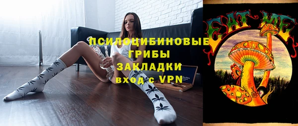 Альфа ПВП Арсеньев