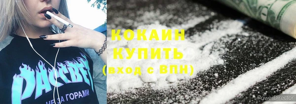 индика Армянск